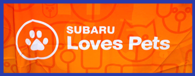 Subaru Loves Pets